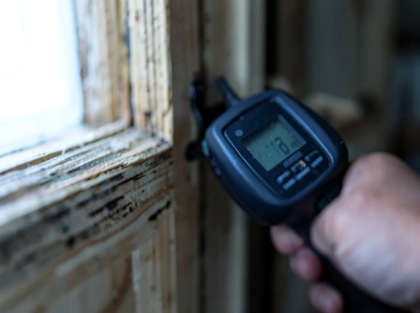 Moisture Inspection And Documentation in Redfox, KY